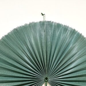 Wall Fan Decor Dark Teal Bamboo Decorative Fans Boho Bamboo Wall Decor5